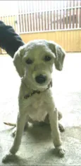 Julie