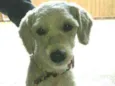 Julie