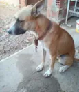 Thoby