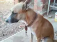 Thoby