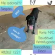 Negão 