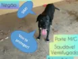 Negão 
