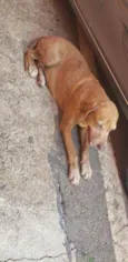 Princesa