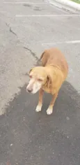 Princesa