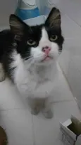 Olaf