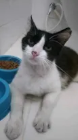 Olaf