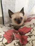 Billy