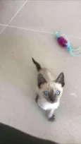 Billy