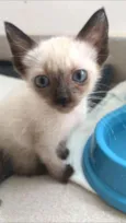 Billy