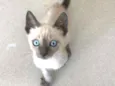 Billy