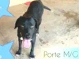 Negão 