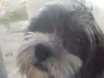 Tob