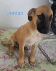 JORDAN