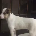 Juba