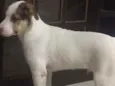 Juba
