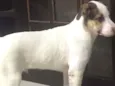 Juba