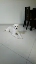 Boby