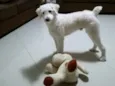 Boby