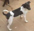 Lala