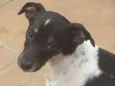 Lala