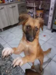 Lilica