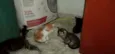 Pequenininhos