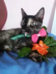 Frida