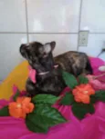 Frida