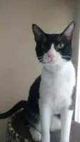 Tom