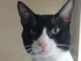 Tom