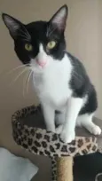 Tom