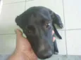 Loly