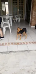 ANGELO