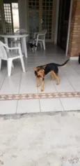 ANGELO