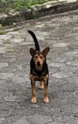 ANGELO
