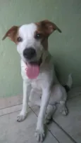 Tapioca
