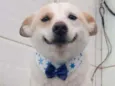 Zeca