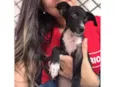 Miúcha