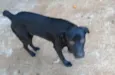 Nego