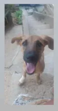 Billy