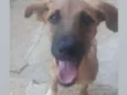 Billy