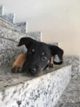 Miúda 