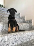 Miúda 