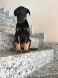 Miúda 
