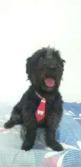 Francisco