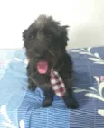 Francisco