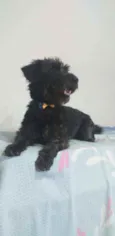 Francisco