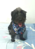 Francisco