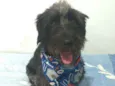 Francisco