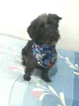 Francisco